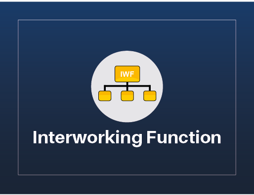 Interworking Function